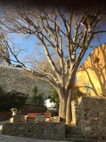 Logement Neuf Centre Du Village Aux Pieds Du Chateau Grimaud Exterior photo